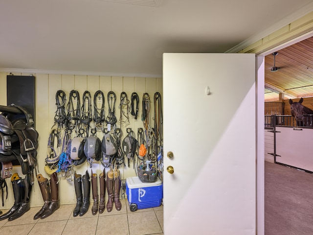 room details featuring ceiling fan, crown molding, and carpet flooring