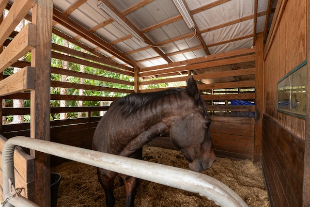 view of stable