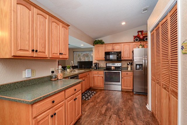 kitchen featuring lofted ceiling, dark hardwood / wood-style floors, sink, stainless steel appliances, and a textured ceiling