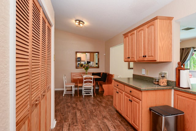 kitchen featuring lofted ceiling, light brown cabinetry, and dark hardwood / wood-style floors