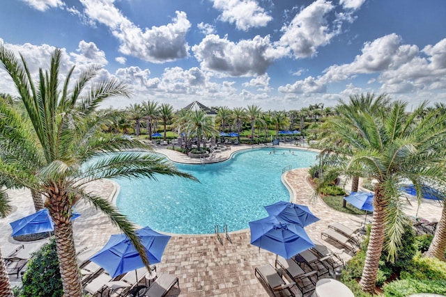 view of pool featuring a patio