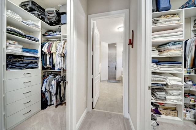 view of spacious closet