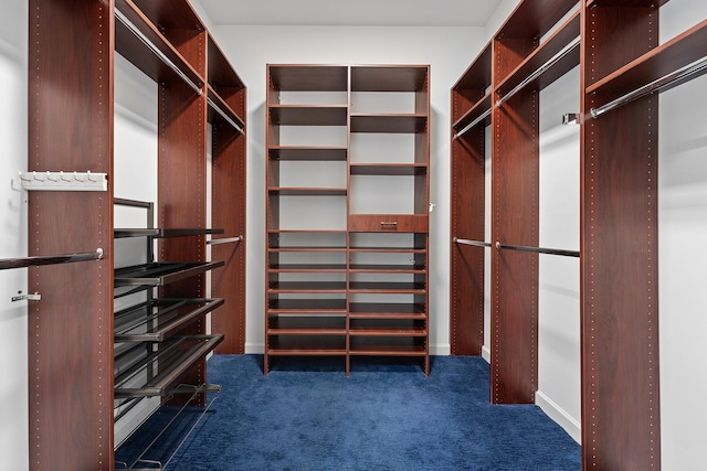 walk in closet featuring dark colored carpet