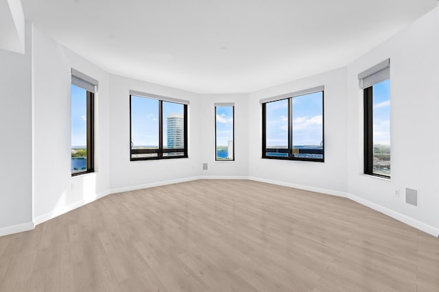 spare room with light hardwood / wood-style flooring and a healthy amount of sunlight