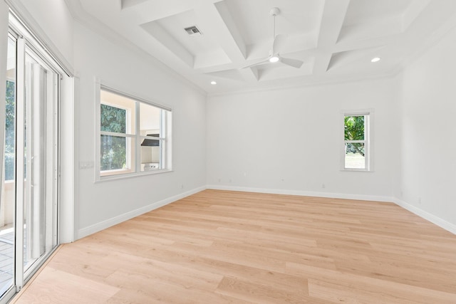 spare room with a healthy amount of sunlight, light hardwood / wood-style flooring, and ceiling fan