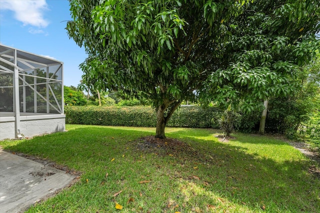 view of yard featuring a lanai