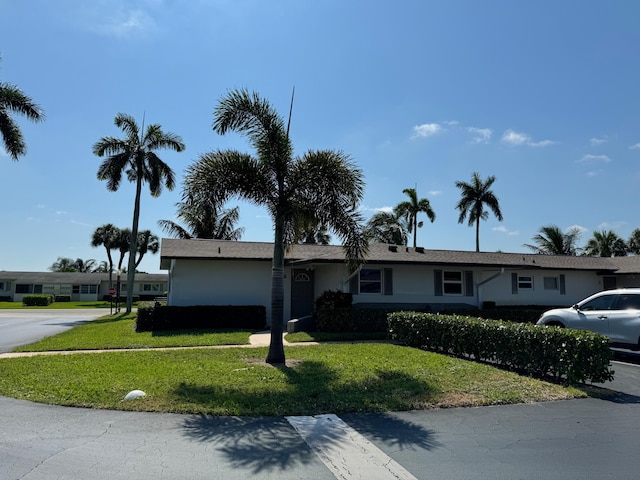 ranch-style house featuring a front yard