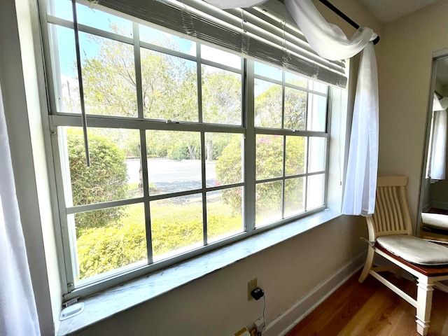 interior details with hardwood / wood-style floors