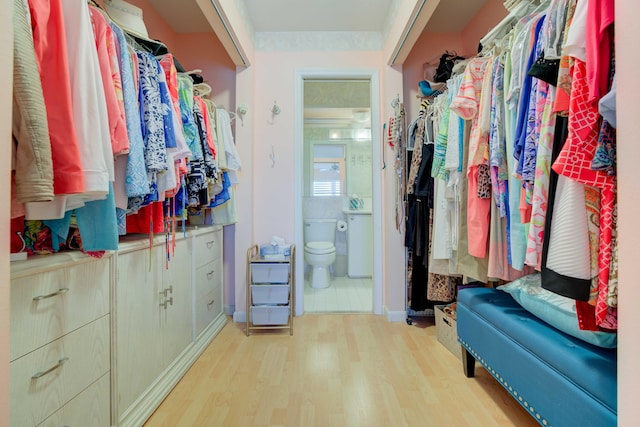 spacious closet featuring light wood-type flooring