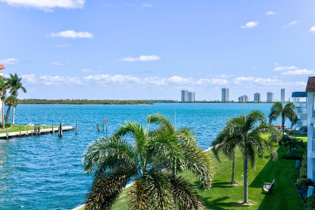 property view of water with a dock