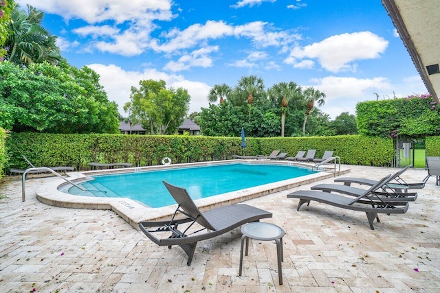 view of pool featuring a patio