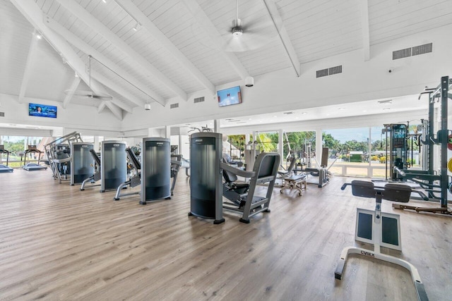 exercise room featuring wood-type flooring and high vaulted ceiling