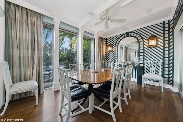 dining room with ceiling fan, dark hardwood / wood-style flooring, and crown molding