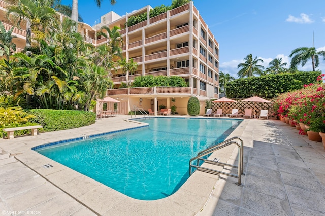 view of swimming pool featuring a patio