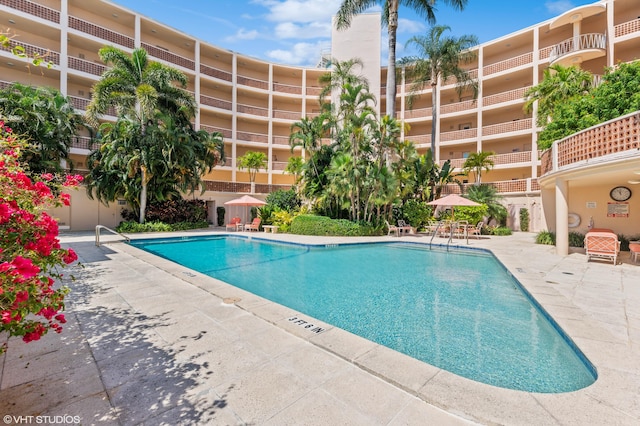 view of pool featuring a patio area