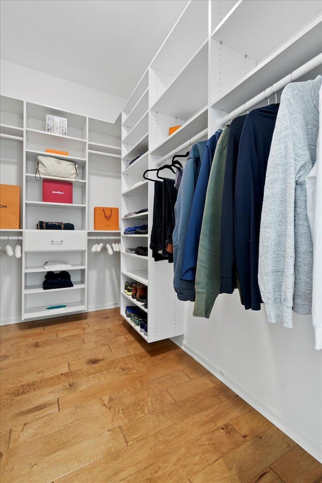 spacious closet featuring light wood-type flooring