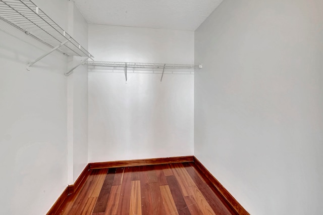 walk in closet with wood-type flooring