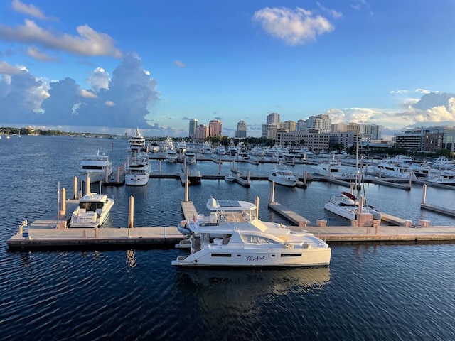 dock area featuring a water view