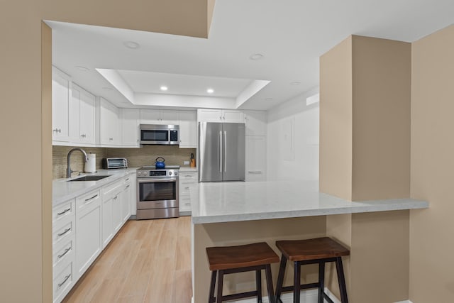 kitchen featuring white cabinetry, stainless steel appliances, a tray ceiling, and sink