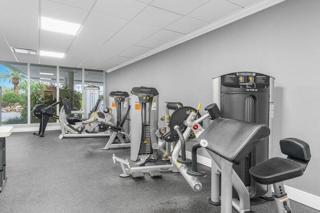 workout area featuring ornamental molding and a drop ceiling