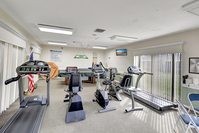 workout area featuring carpet