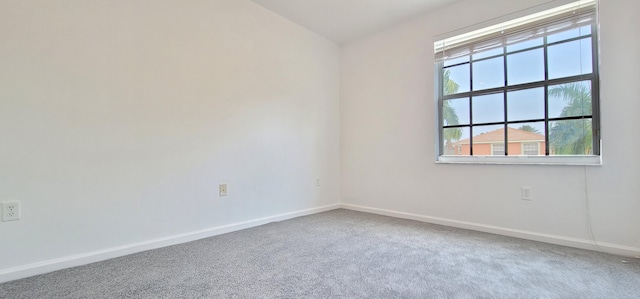 spare room featuring carpet floors