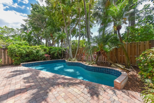 view of pool featuring a patio