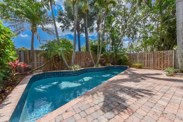 view of pool featuring a patio