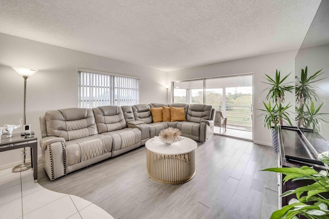 living room featuring hardwood / wood-style floors and a textured ceiling