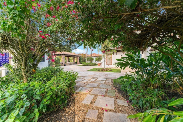 view of yard featuring a gazebo and a patio area