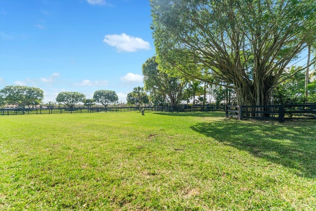 view of yard featuring a rural view