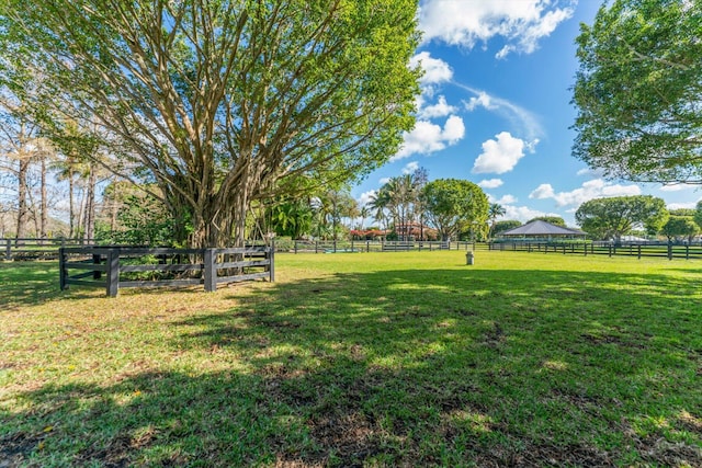 view of yard with a rural view