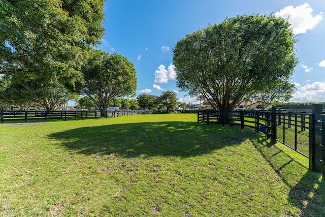 view of yard featuring a rural view