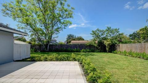 view of yard with a patio area