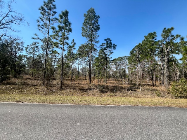 0 NW Wateroak Ave, Dunnellon FL, 34431 land for sale