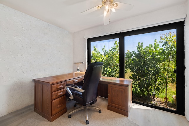 home office featuring ceiling fan and light hardwood / wood-style flooring