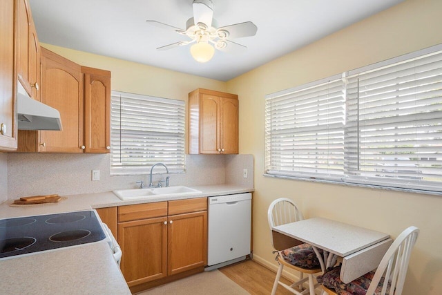 kitchen with light wood-type flooring, white appliances, ceiling fan, and sink