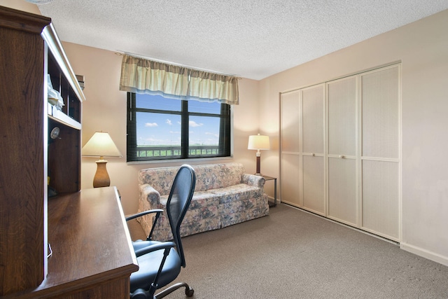 office space featuring a textured ceiling and carpet floors