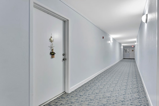 hallway with carpet flooring