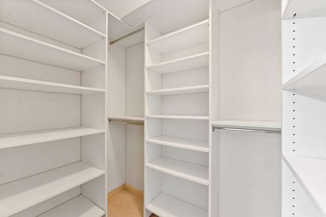 view of spacious closet