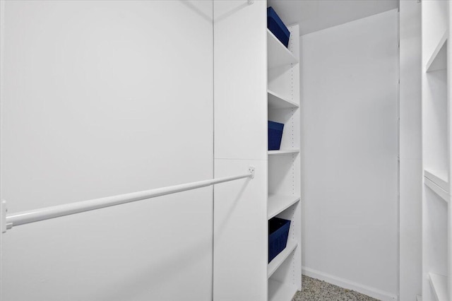 spacious closet with carpet