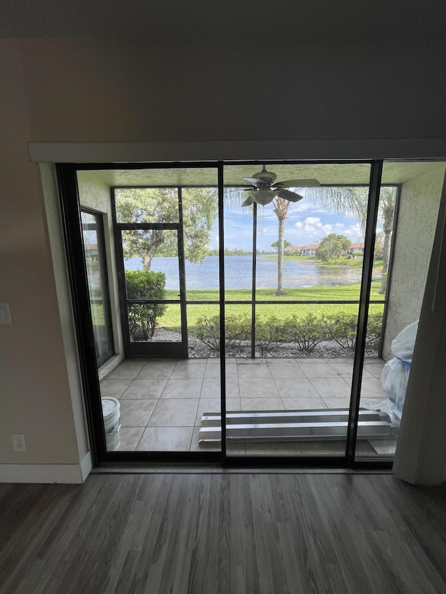 entryway with wood-type flooring, a water view, and plenty of natural light