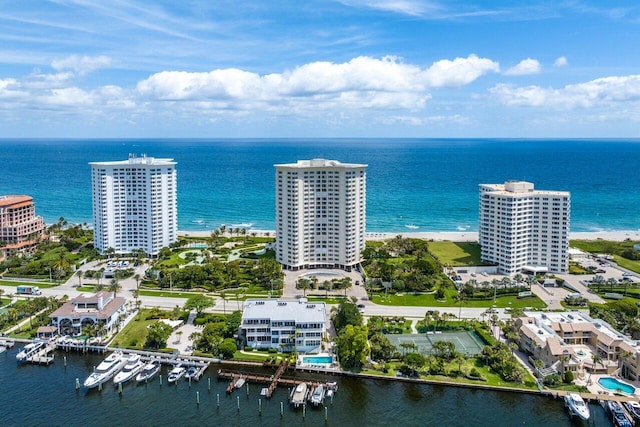 bird's eye view with a water view