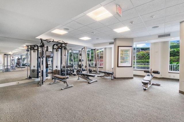 gym featuring carpet and a paneled ceiling