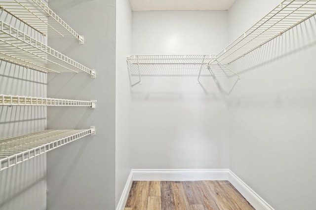 walk in closet with hardwood / wood-style floors