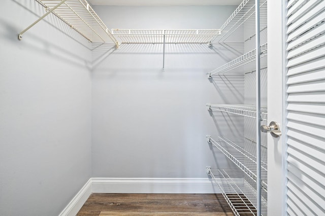 walk in closet featuring dark hardwood / wood-style flooring