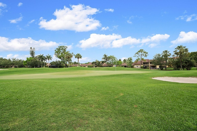 view of community featuring a yard