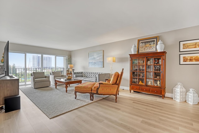 living room with light wood-type flooring