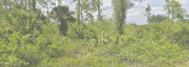 4505 E 21st St, Alva FL, 33920 land for sale