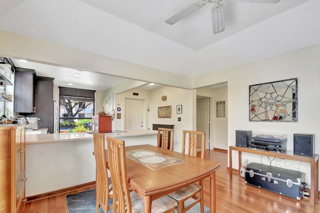 dining area featuring light wood-type flooring and ceiling fan